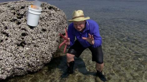 Merrick Ekins holding a sea star, crouching up to his ankles in water on a reef